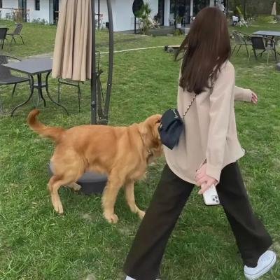 窗外有情天